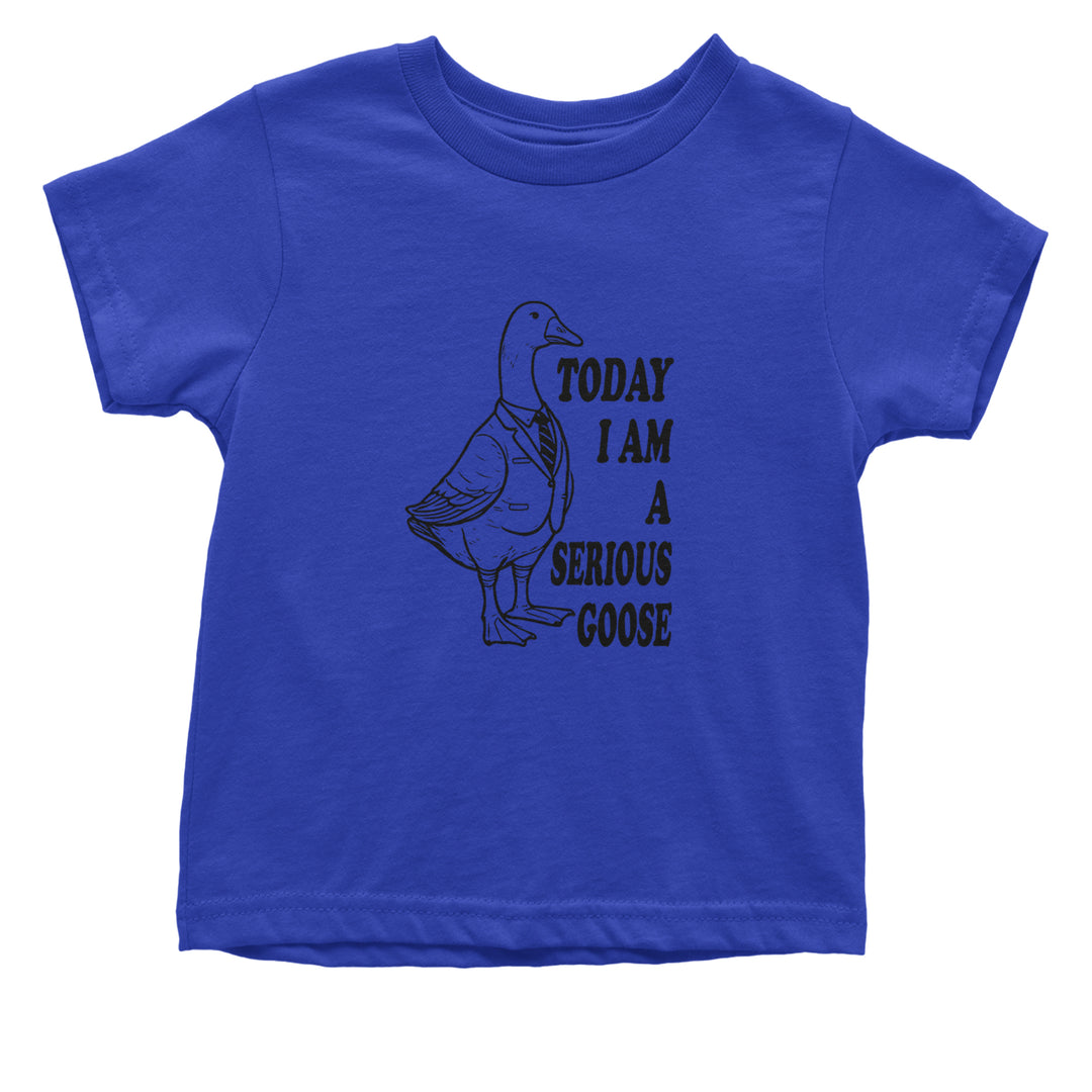 Today I Am A Serious Goose Infant One-Piece Romper Bodysuit or Toddler T-shirt Royal Blue