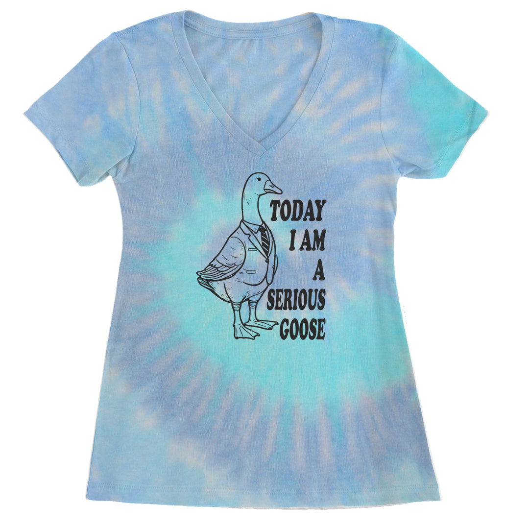 Today I Am A Serious Goose Ladies V-Neck T-shirt Blue Clouds