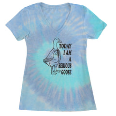 Today I Am A Serious Goose Ladies V-Neck T-shirt Blue Clouds