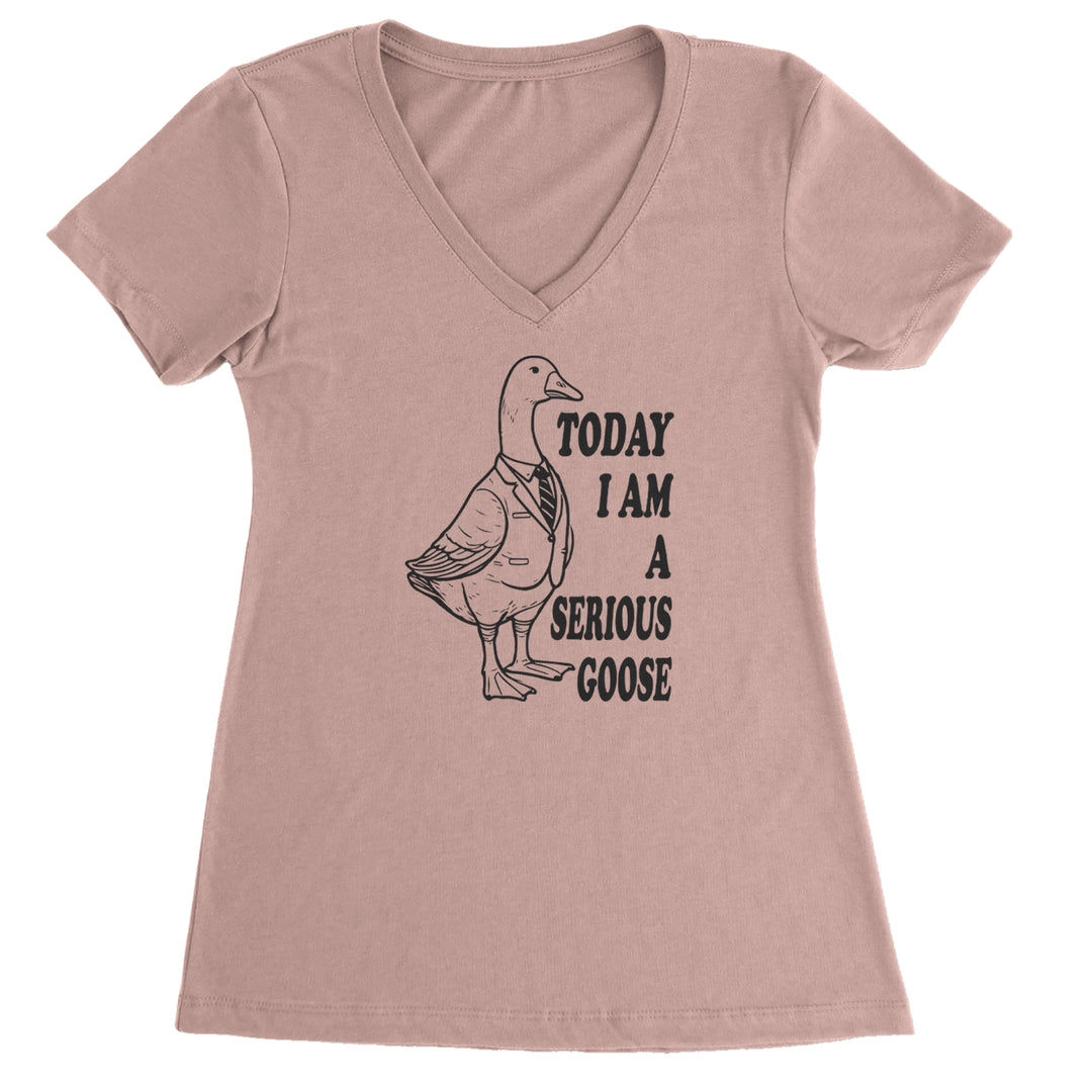 Today I Am A Serious Goose Ladies V-Neck T-shirt Light Pink