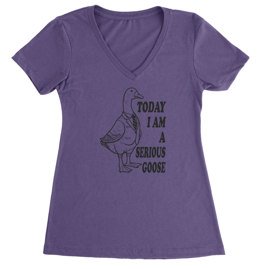 Today I Am A Serious Goose Ladies V-Neck T-shirt Purple