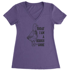 Today I Am A Serious Goose Ladies V-Neck T-shirt Purple