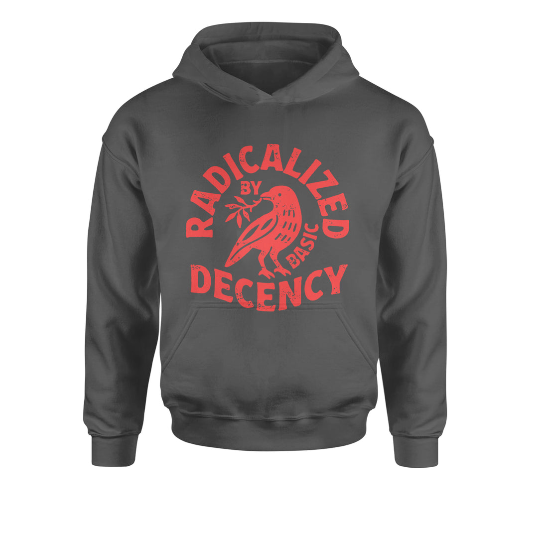 Radicalized by Basic Decency Dove Protest Statement Youth-Sized Hoodie Charcoal Grey