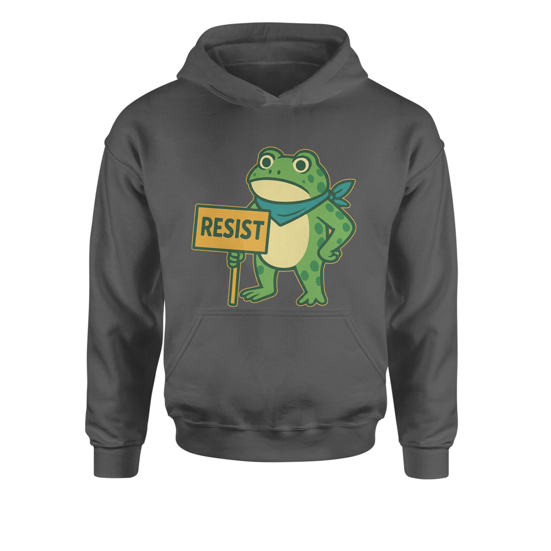 Sign Resist Meme Frog Protest Youth-Sized Hoodie Charcoal Grey