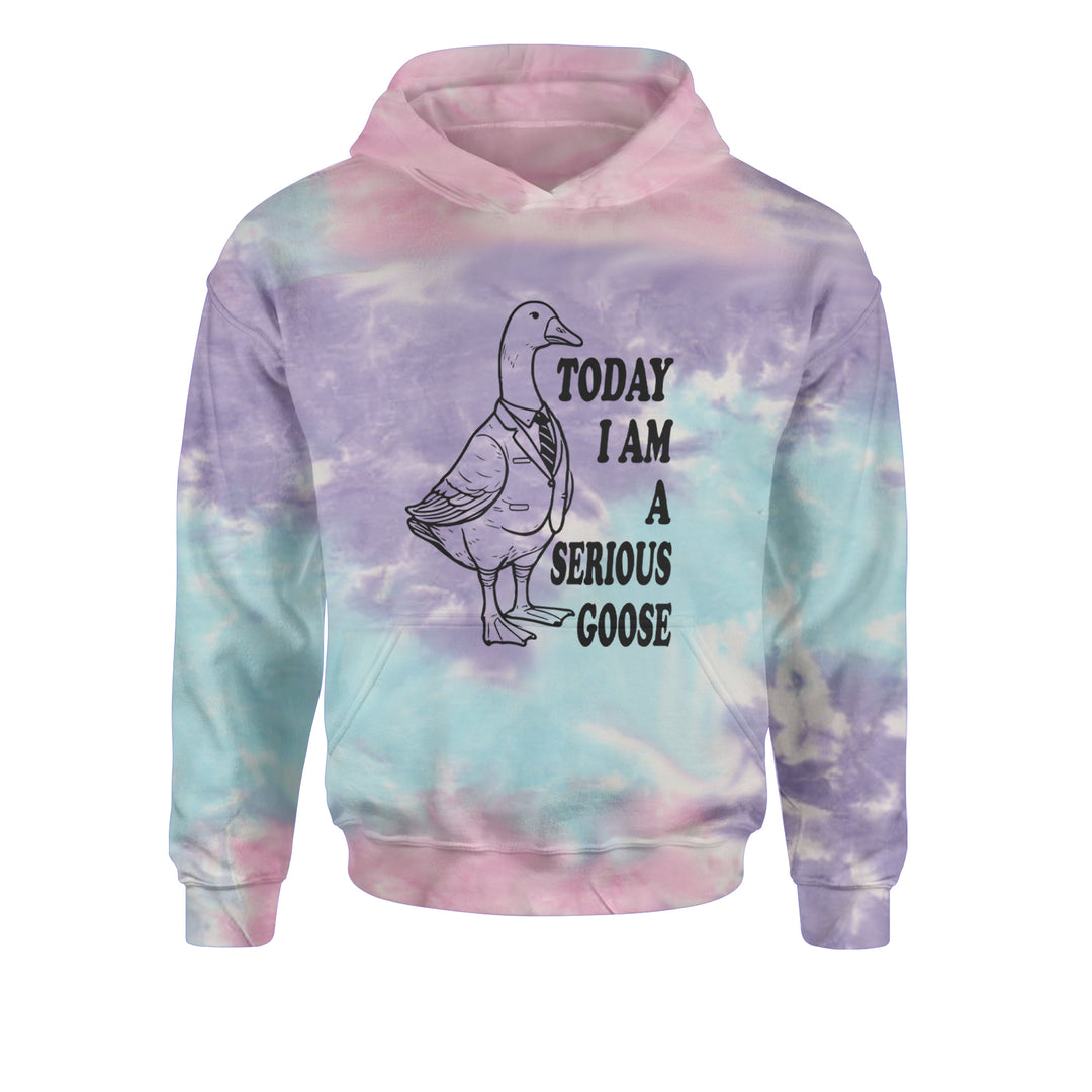 Today I Am A Serious Goose Youth-Sized Hoodie Tie-Dye Cotton Candy