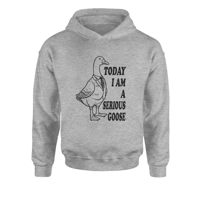 Today I Am A Serious Goose Youth-Sized Hoodie