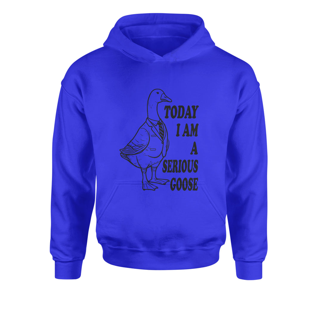 Today I Am A Serious Goose Youth-Sized Hoodie Royal Blue