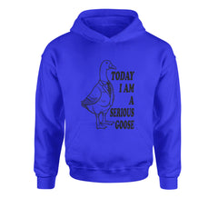 Today I Am A Serious Goose Youth-Sized Hoodie Royal Blue