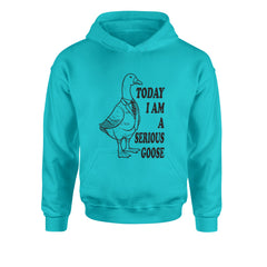 Today I Am A Serious Goose Youth-Sized Hoodie Teal