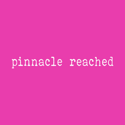 Pinnacle Reached Romance Mens T-shirt