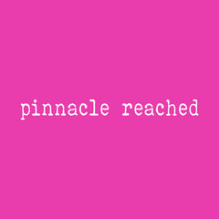Pinnacle Reached Romance Mens T-shirt