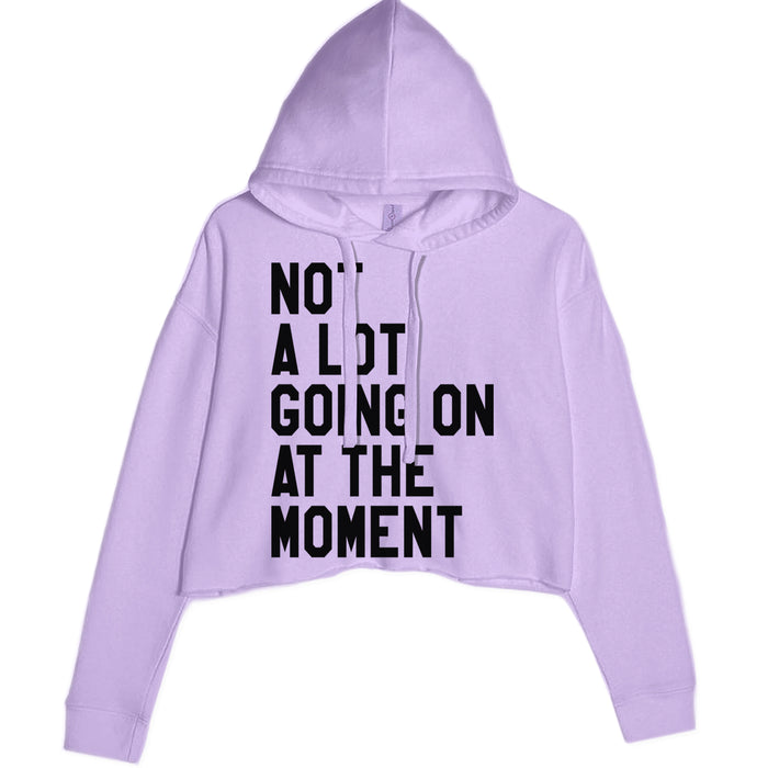 NOT A Lot Going On At The Moment Feeling 22 TTPD Cropped Hoodie Sweatshirt