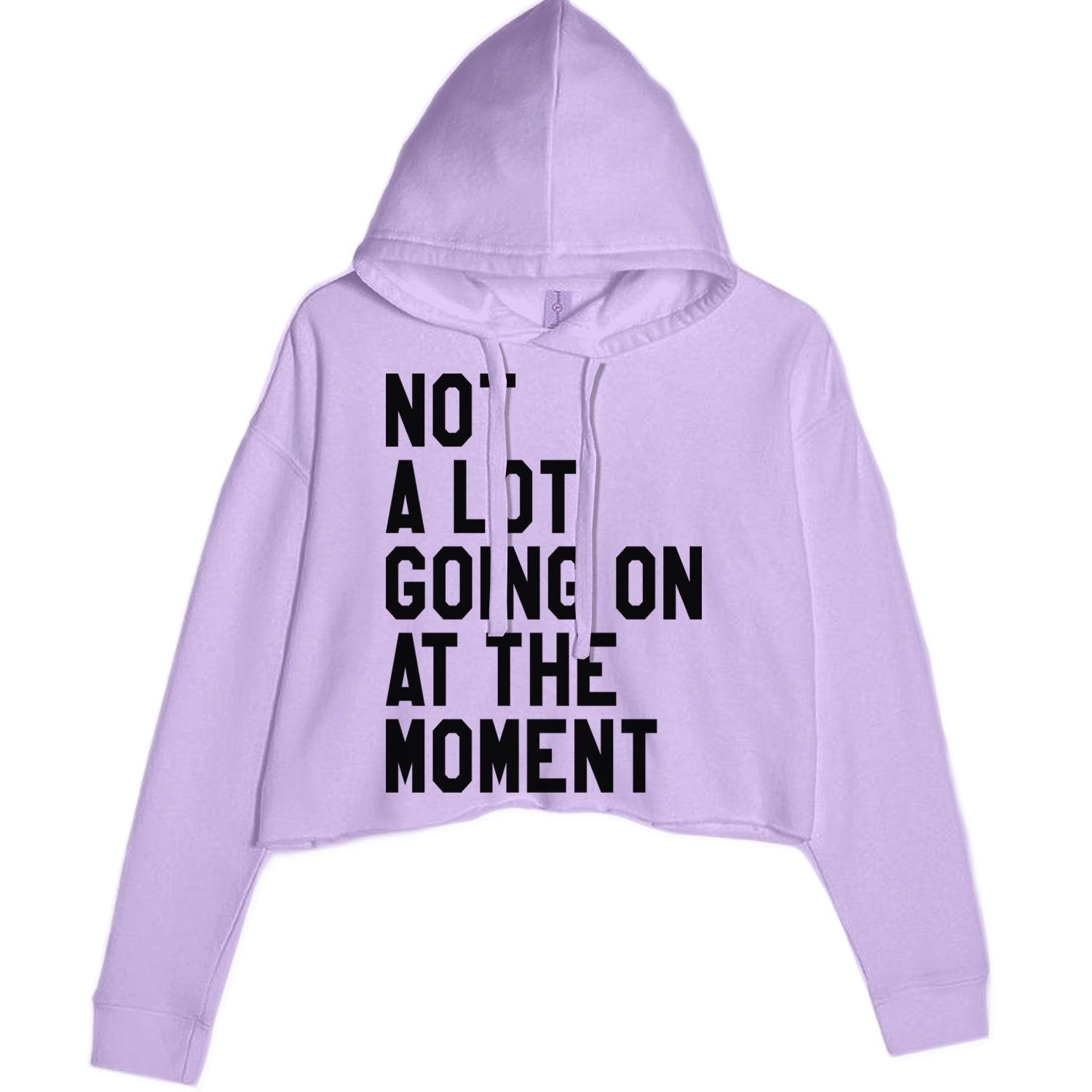 NOT A Lot Going On At The Moment Feeling 22 TTPD Cropped Hoodie Sweatshirt Lavender