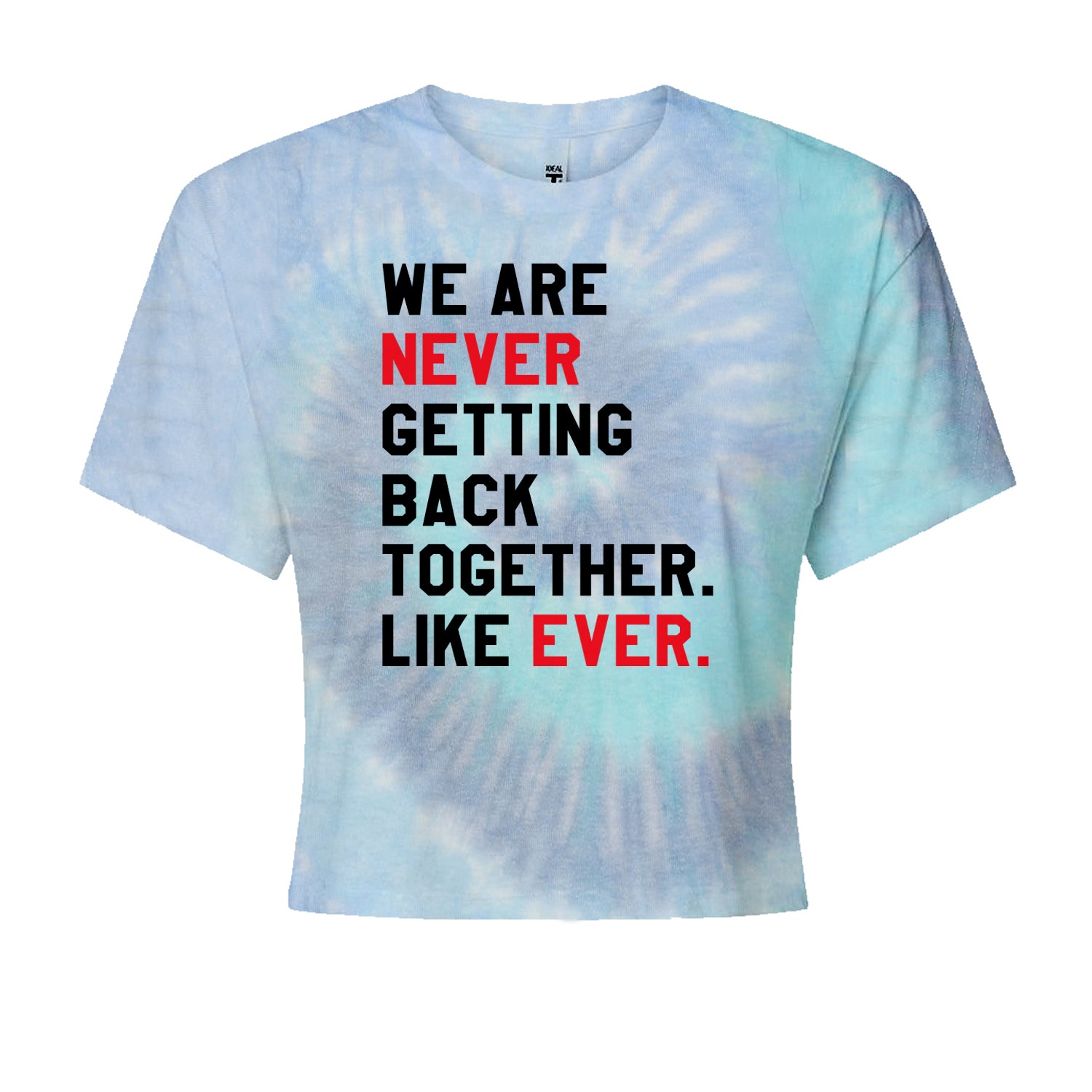 We Are Never Getting Back Together TTPD Eras Outfit Cropped T-Shirt Blue Clouds