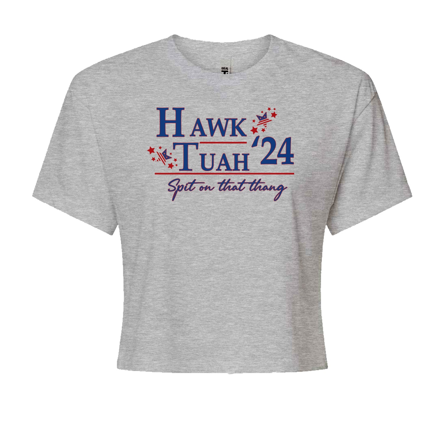 Vote For Hawk Tuah Spit On That Thang 2024 Cropped T-Shirt Heather Grey