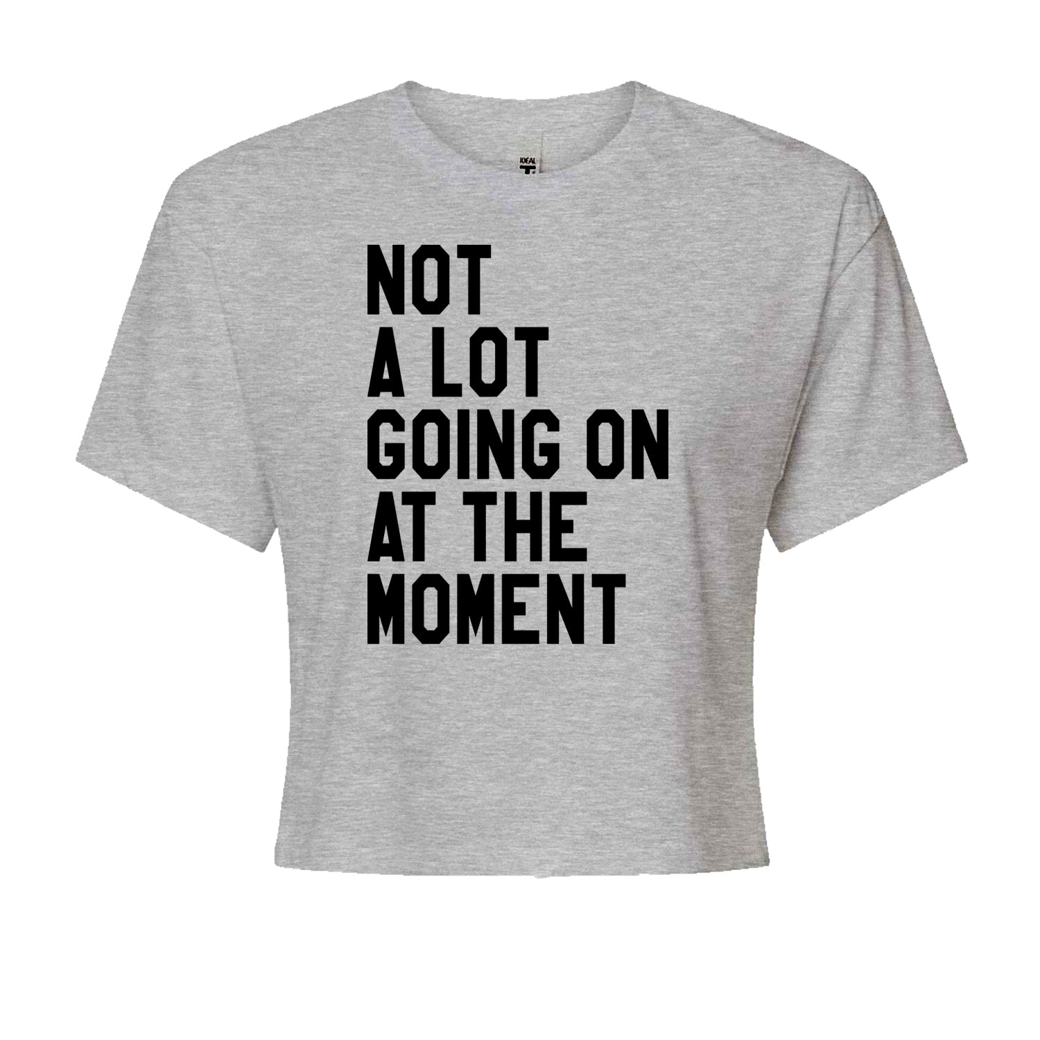 NOT A Lot Going On At The Moment Feeling 22 TTPD Cropped T-Shirt Heather Grey