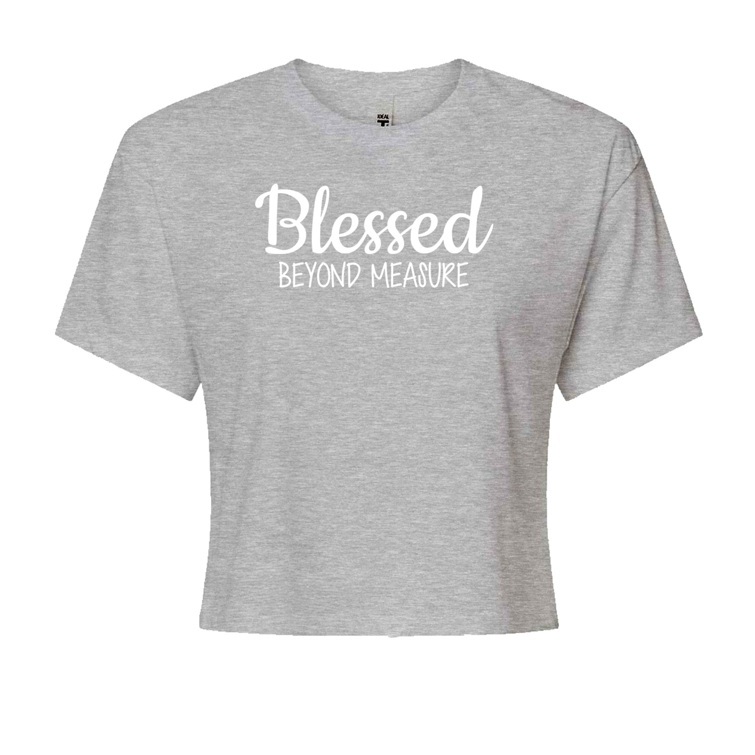 Blessed Beyond Measure Cropped T-Shirt Heather Grey