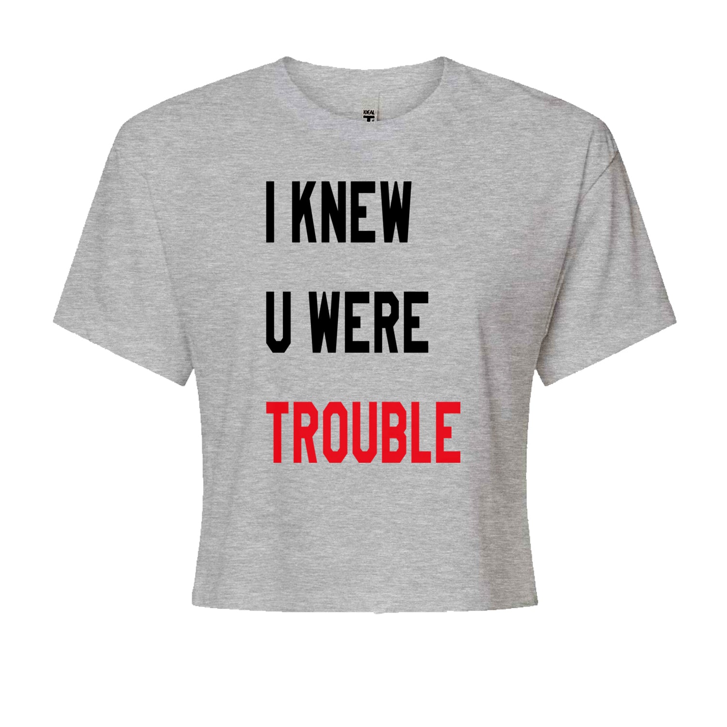 I Knew You Were Trouble New TTPD Era Cropped T-Shirt Heather Grey