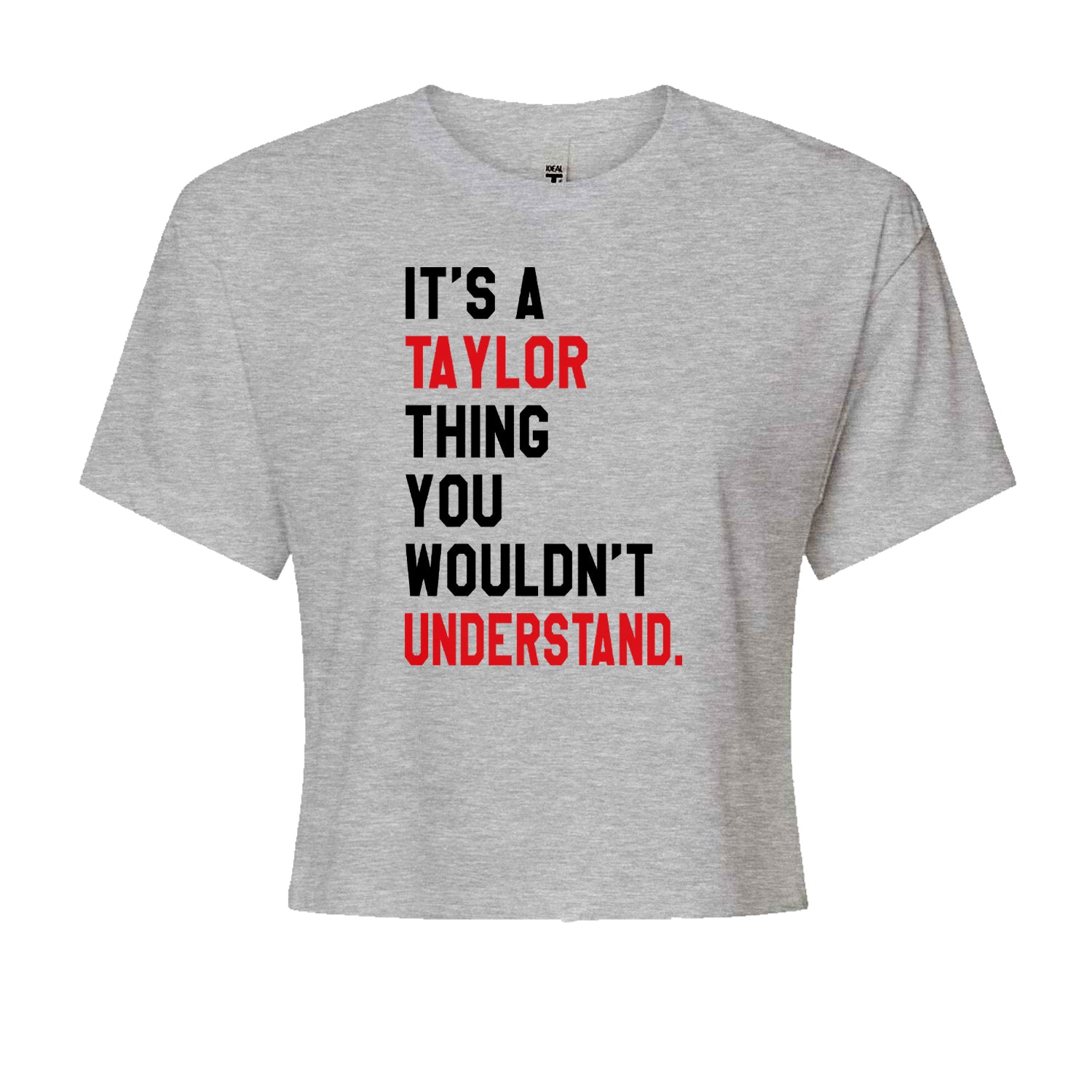 You Wouldn't Understand It's A Taylor Thing TTPD Cropped T-Shirt Heather Grey