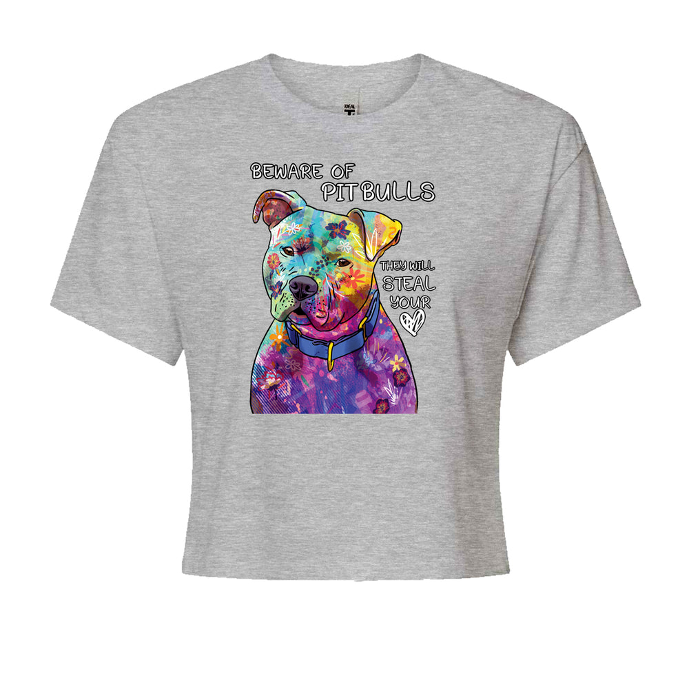 Beware Of Pit Bulls, They Will Steal Your Heart graphic on Women's Boxy Crop T-Shirt in Heather Grey