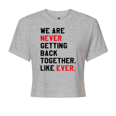 We Are Never Getting Back Together TTPD Eras Outfit Cropped T-Shirt Heather Grey