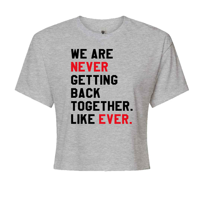 We Are Never Getting Back Together TTPD Eras Outfit Cropped T-Shirt