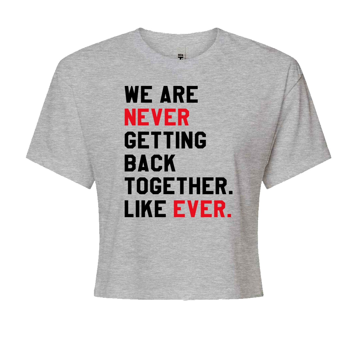 We Are Never Getting Back Together TTPD Eras Outfit Cropped T-Shirt Heather Grey