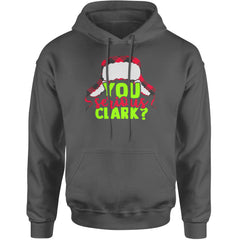 You Serious Clark? Griswold Adult Hoodie Sweatshirt Charcoal Grey