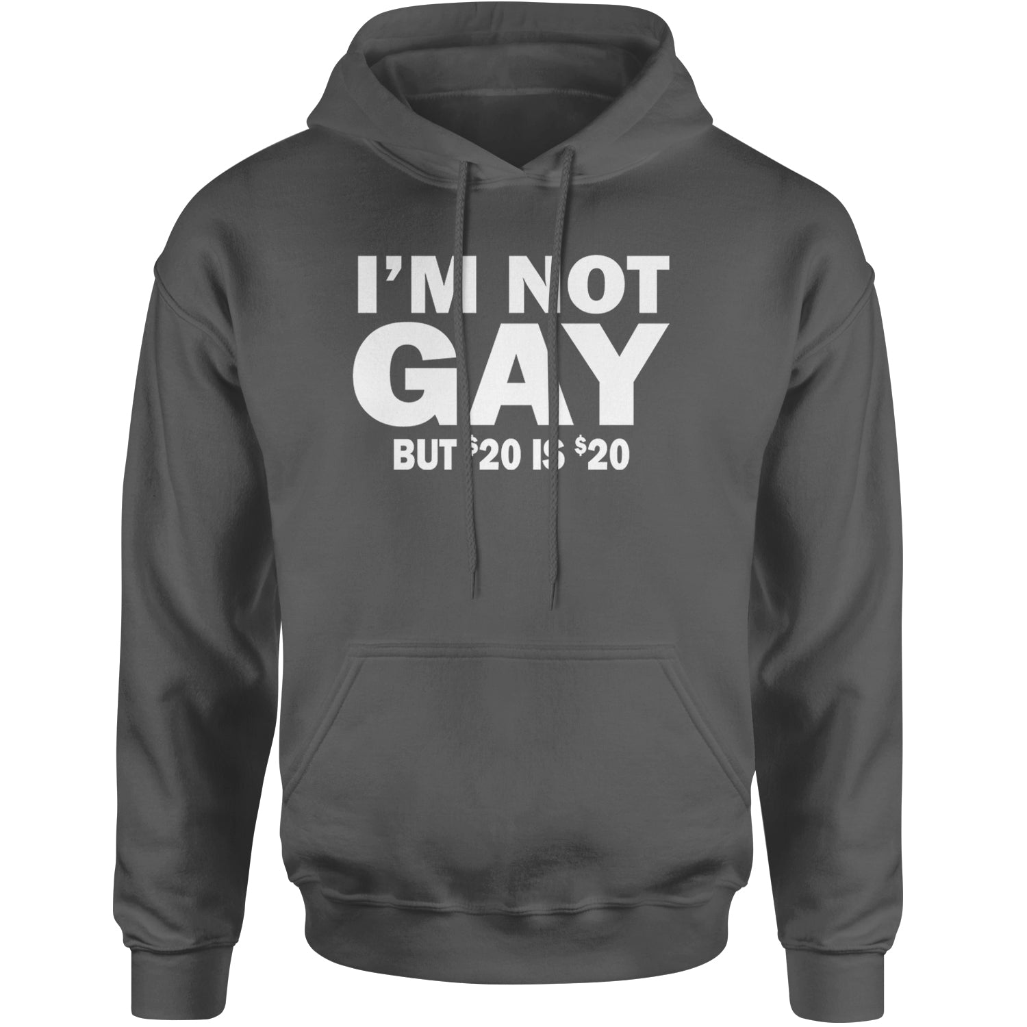 I'm Not Gay, But $20 Bucks is $20 Bucks Adult Hoodie Sweatshirt Black