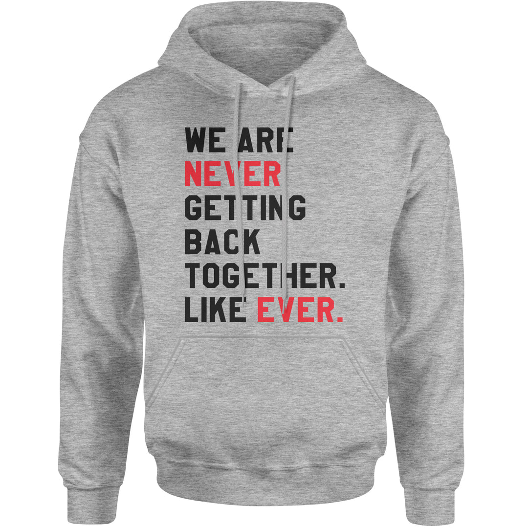 We Are Never Getting Back Together TTPD Eras Outfit Adult Hoodie Sweatshirt Heather Grey