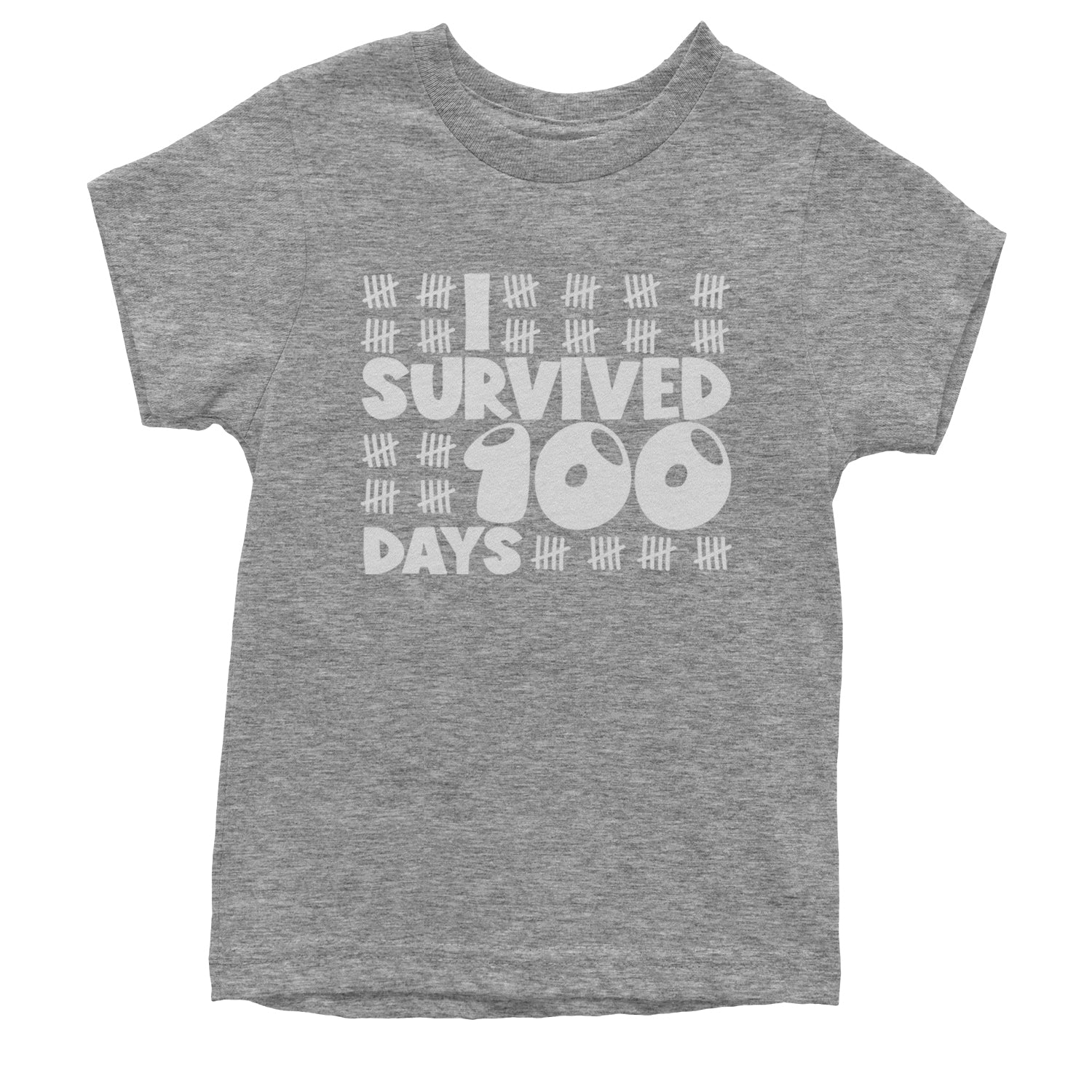 I Survived 100 Days Tally Marks Youth T-shirt Heather Grey