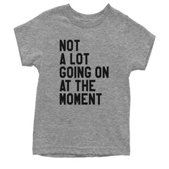 NOT A Lot Going On At The Moment Feeling 22 TTPD Youth T-shirt Heather Grey