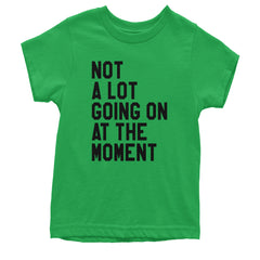 NOT A Lot Going On At The Moment Feeling 22 TTPD Youth T-shirt Kelly Green