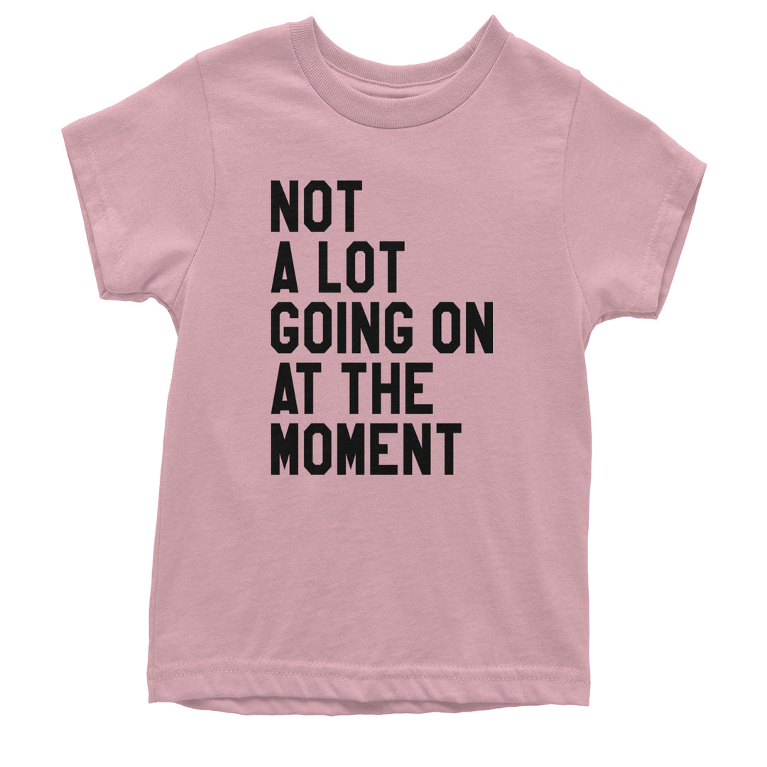 NOT A Lot Going On At The Moment Feeling 22 TTPD Youth T-shirt Light Pink