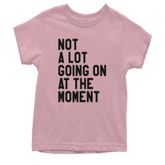 NOT A Lot Going On At The Moment Feeling 22 TTPD Youth T-shirt Light Pink