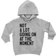Toddler Hoodie + Infant Fleece