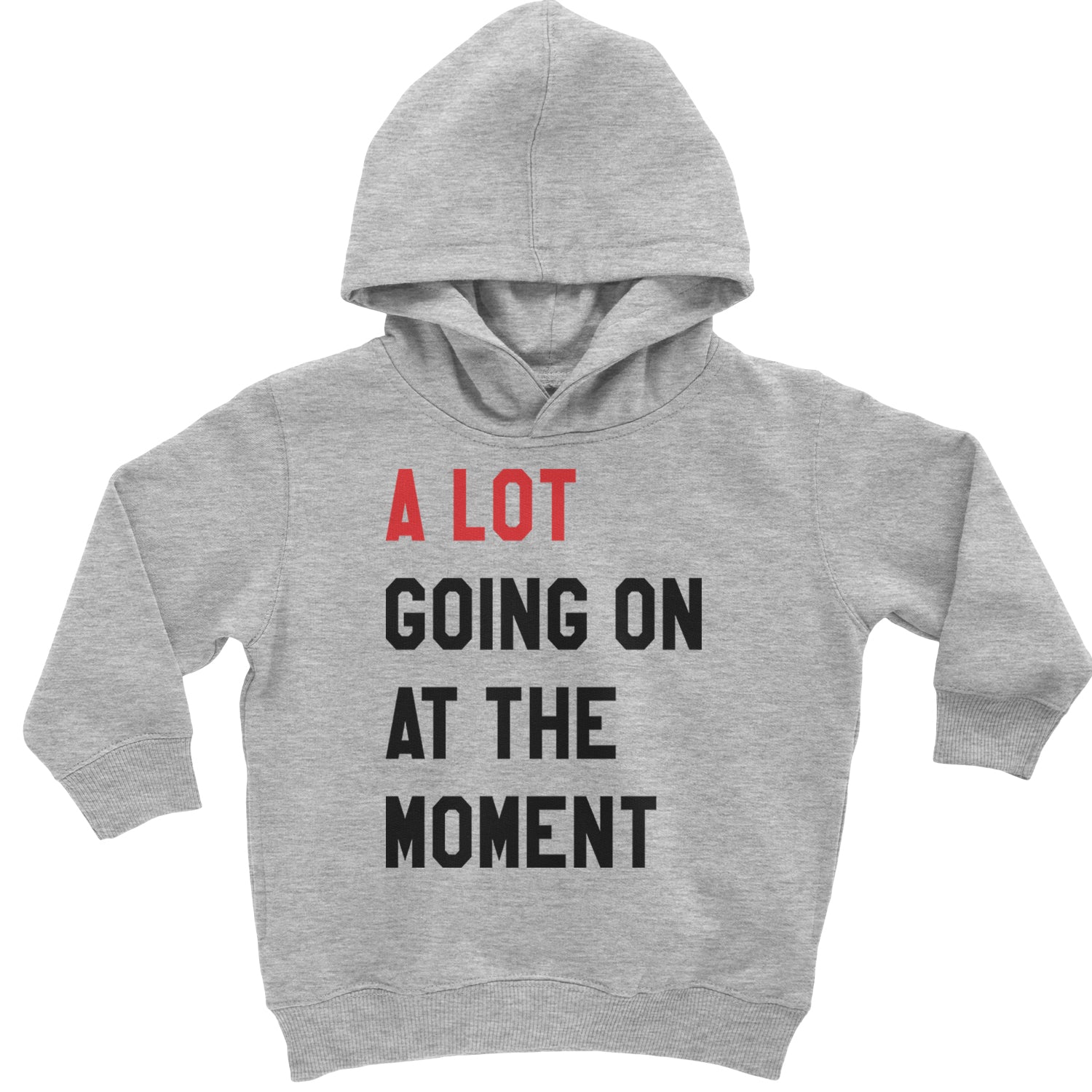 A Lot Going On At The Moment New TTPD Poet Department Toddler Hoodie And Infant Fleece Romper Heather Grey