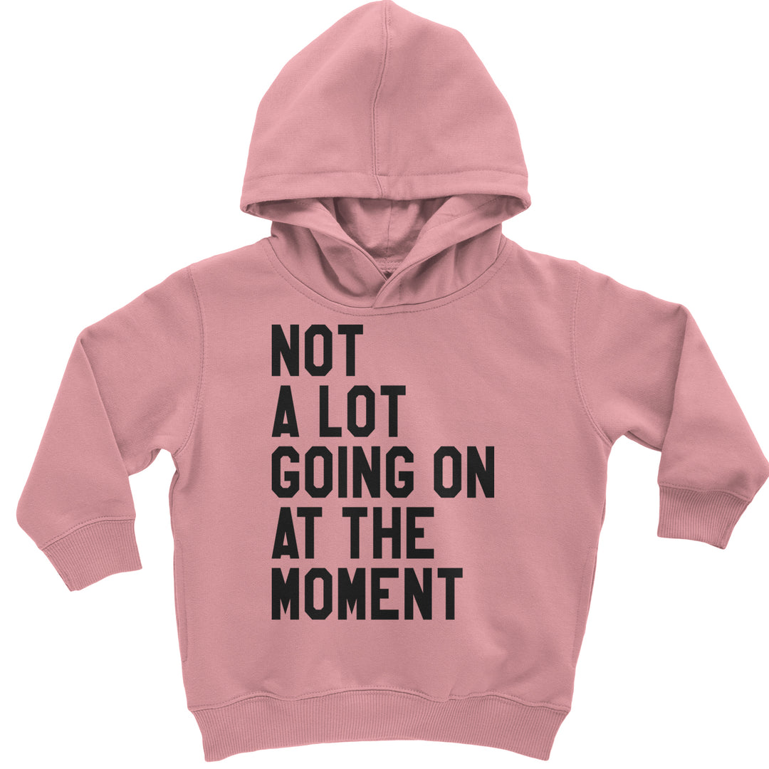 NOT A Lot Going On At The Moment Feeling 22 TTPD Toddler Hoodie And Infant Fleece Romper Mauve