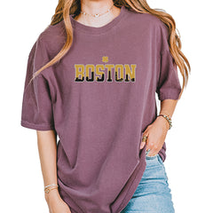 Boston City Pride Irish Vintage Soft Unisex T-shirt Berry