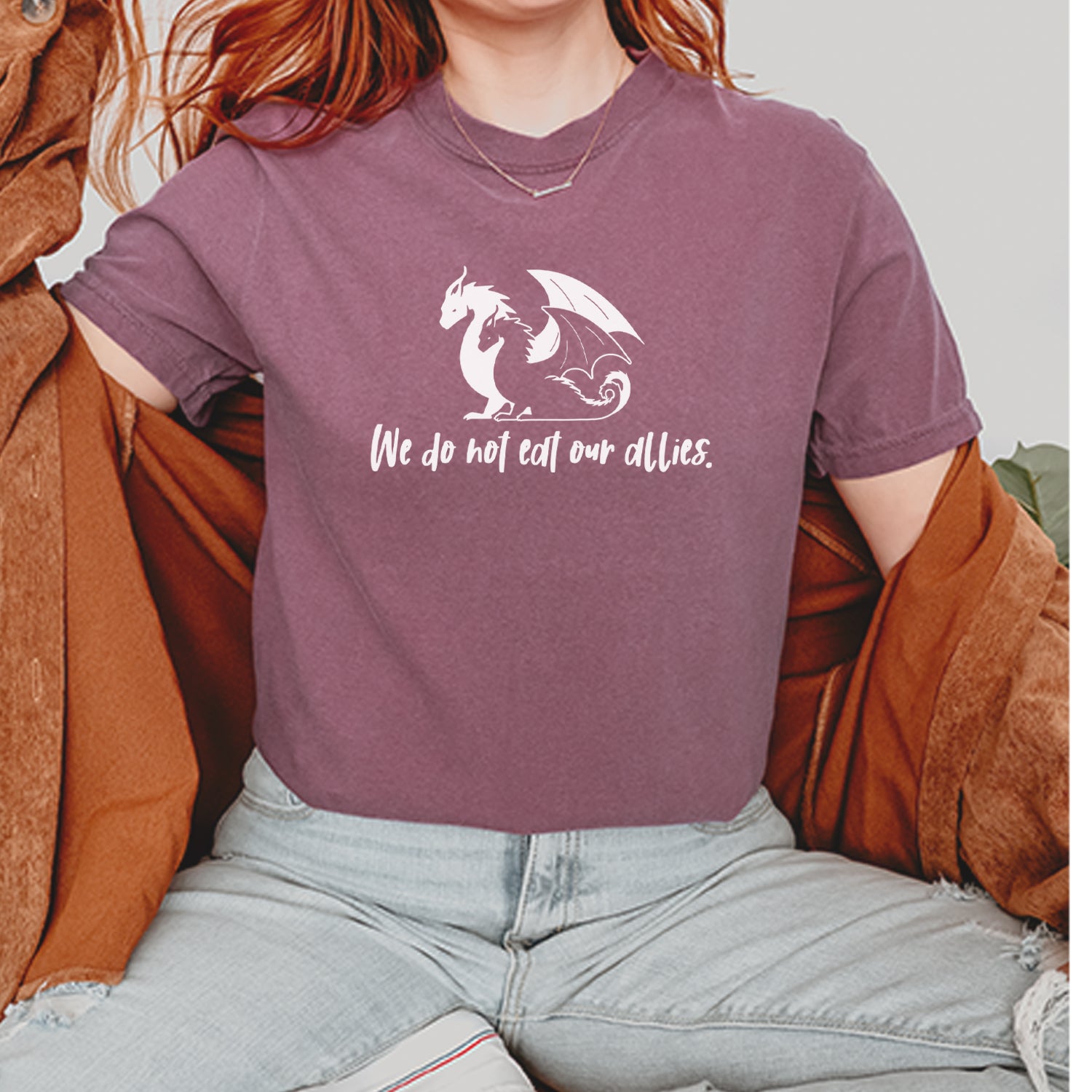 We Do Not Eat Our Allies Fourth Wing Basgiath Vintage Soft Unisex T-shirt 
