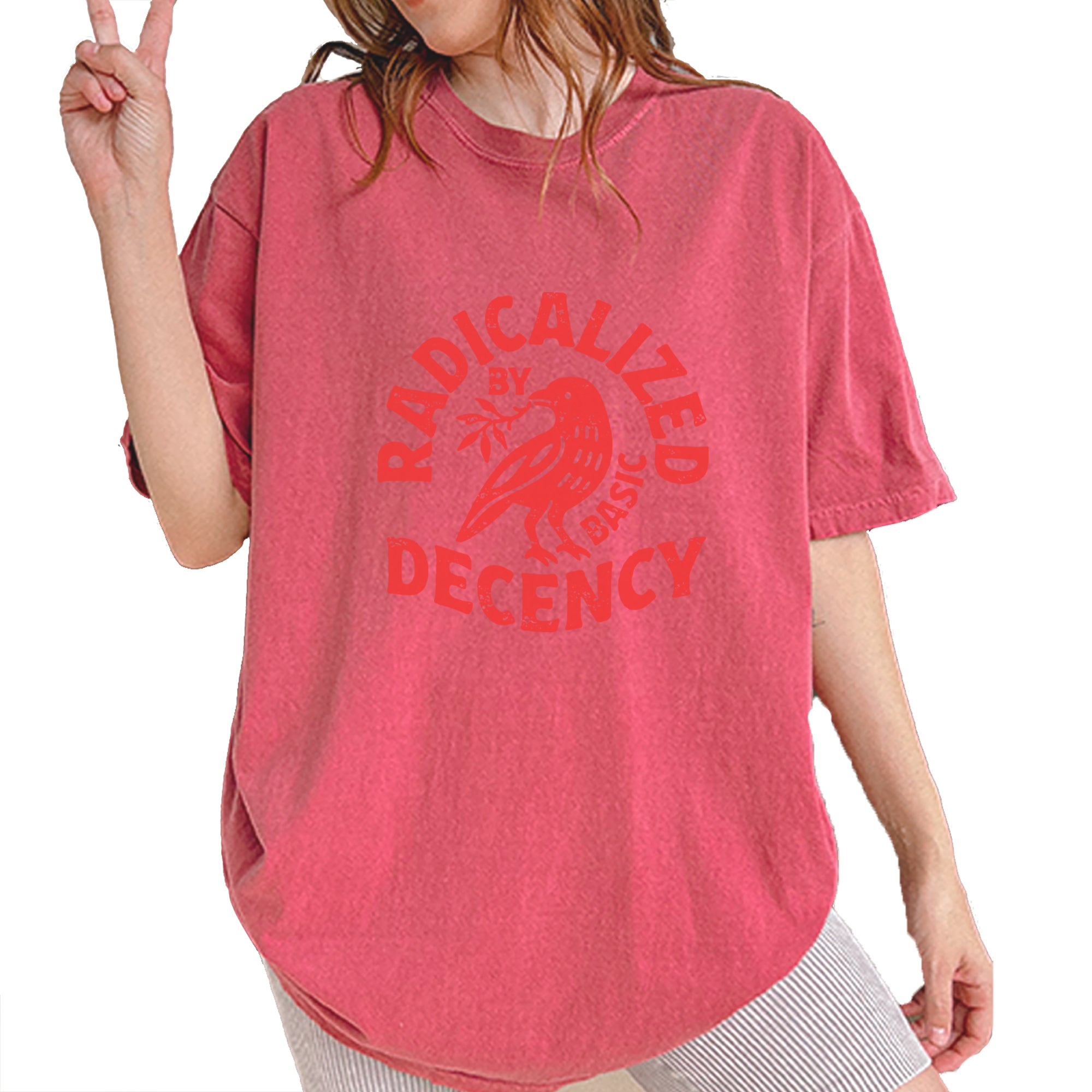 Radicalized by Basic Decency Dove Protest Statement Vintage Soft Unisex T-shirt Brick