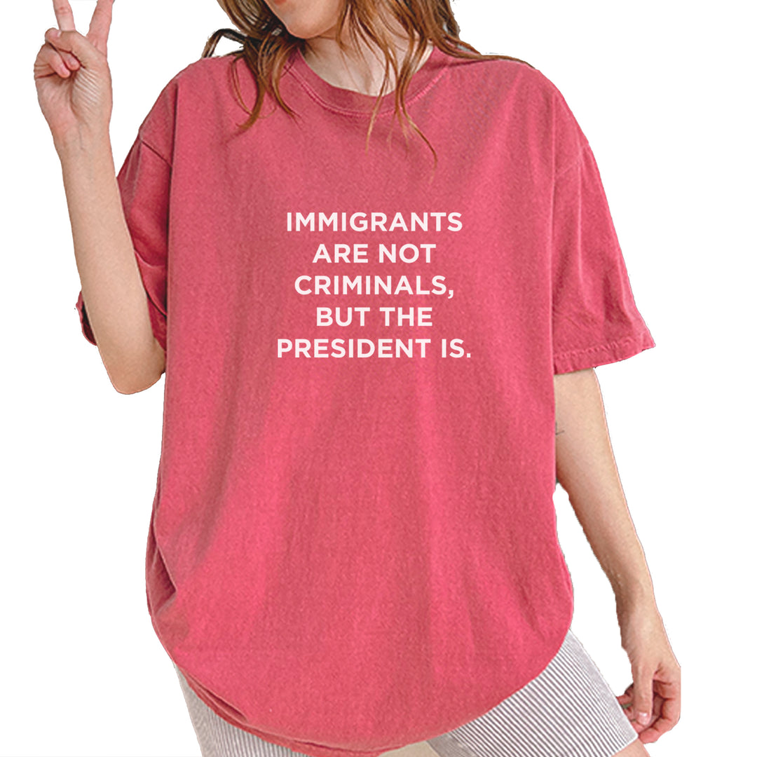 Immigrants Are Not Criminals Vintage Soft Unisex T-shirt Brick