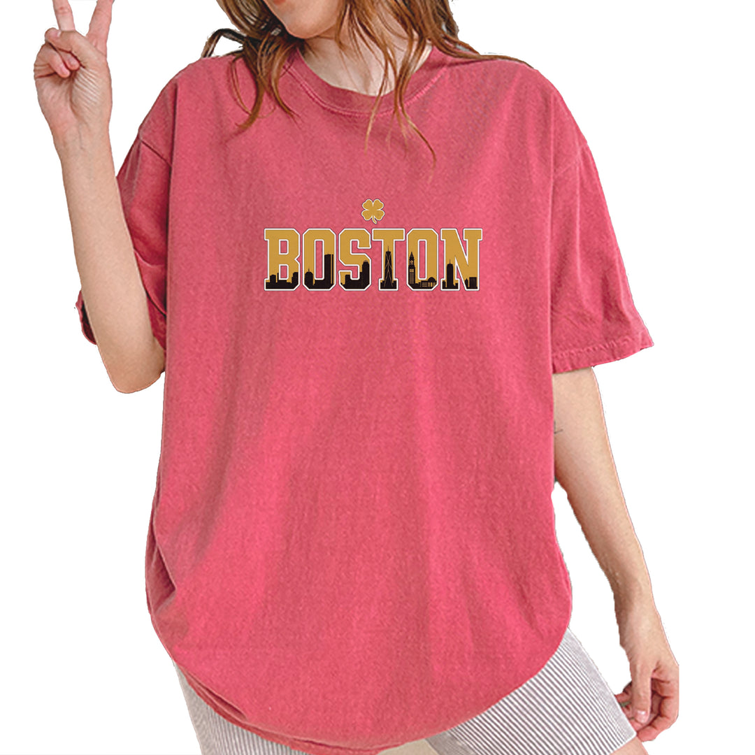 Boston City Pride Irish Vintage Soft Unisex T-shirt Brick
