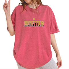Boston City Pride Irish Vintage Soft Unisex T-shirt Brick