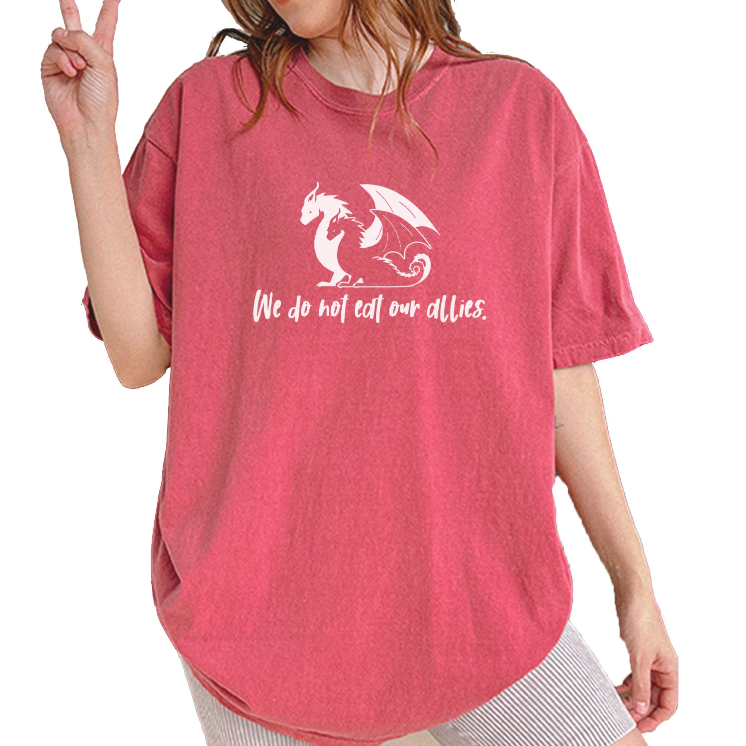 We Do Not Eat Our Allies Fourth Wing Basgiath Vintage Soft Unisex T-shirt Brick