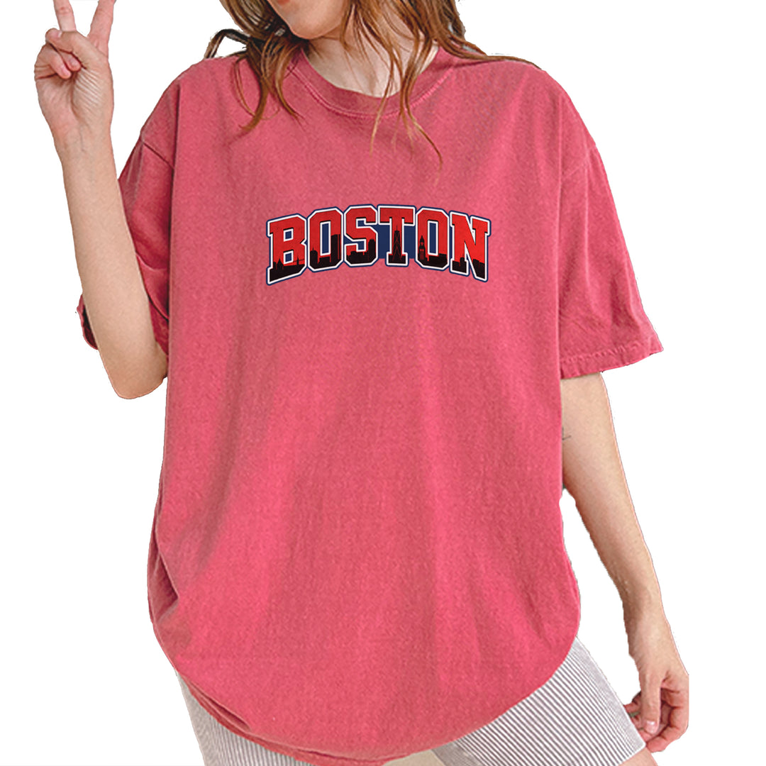 Boston City Pride Skyline Vintage Soft Unisex T-shirt Brick