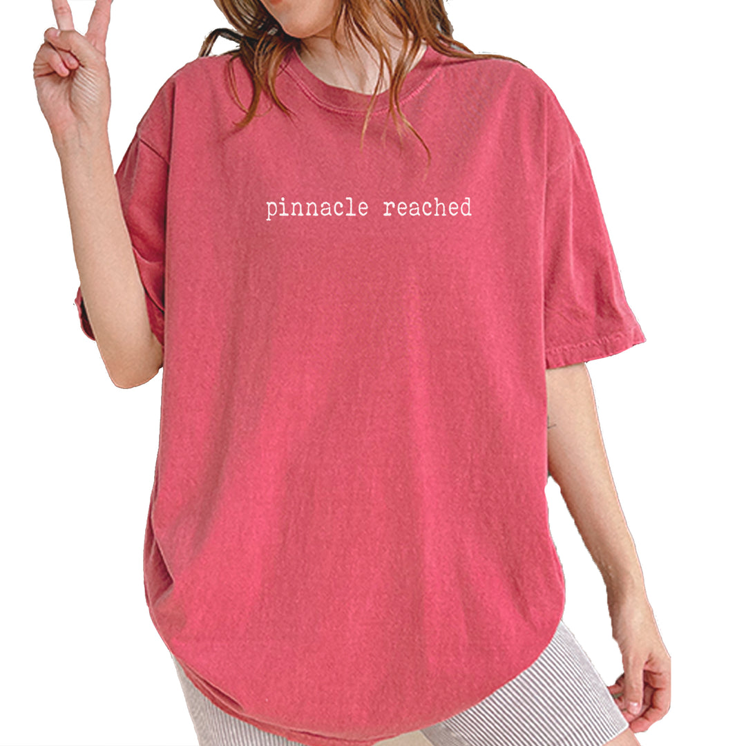 Pinnacle Reached Romance Vintage Soft Unisex T-shirt Brick