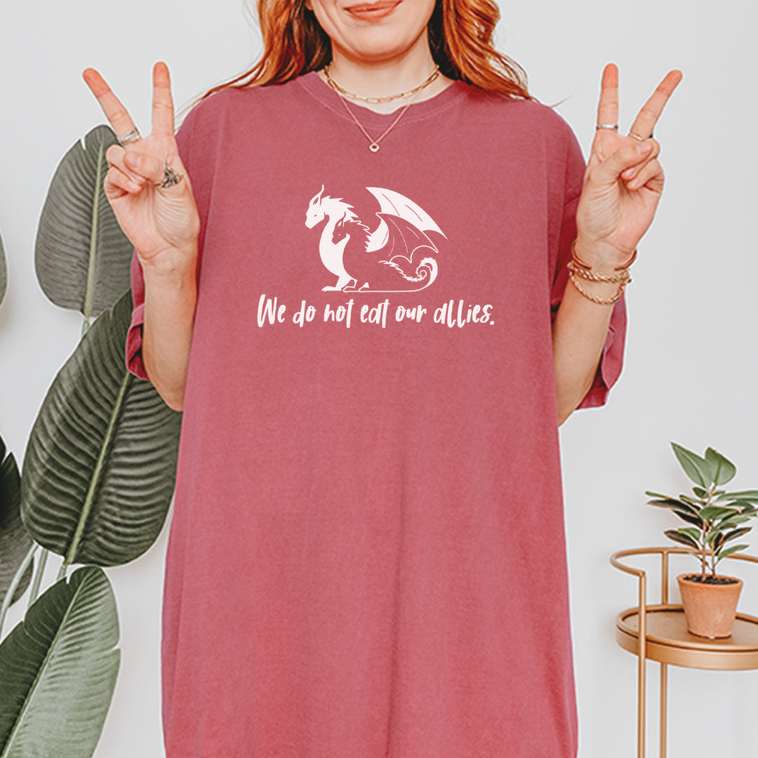 We Do Not Eat Our Allies Fourth Wing Basgiath Vintage Soft Unisex T-shirt 