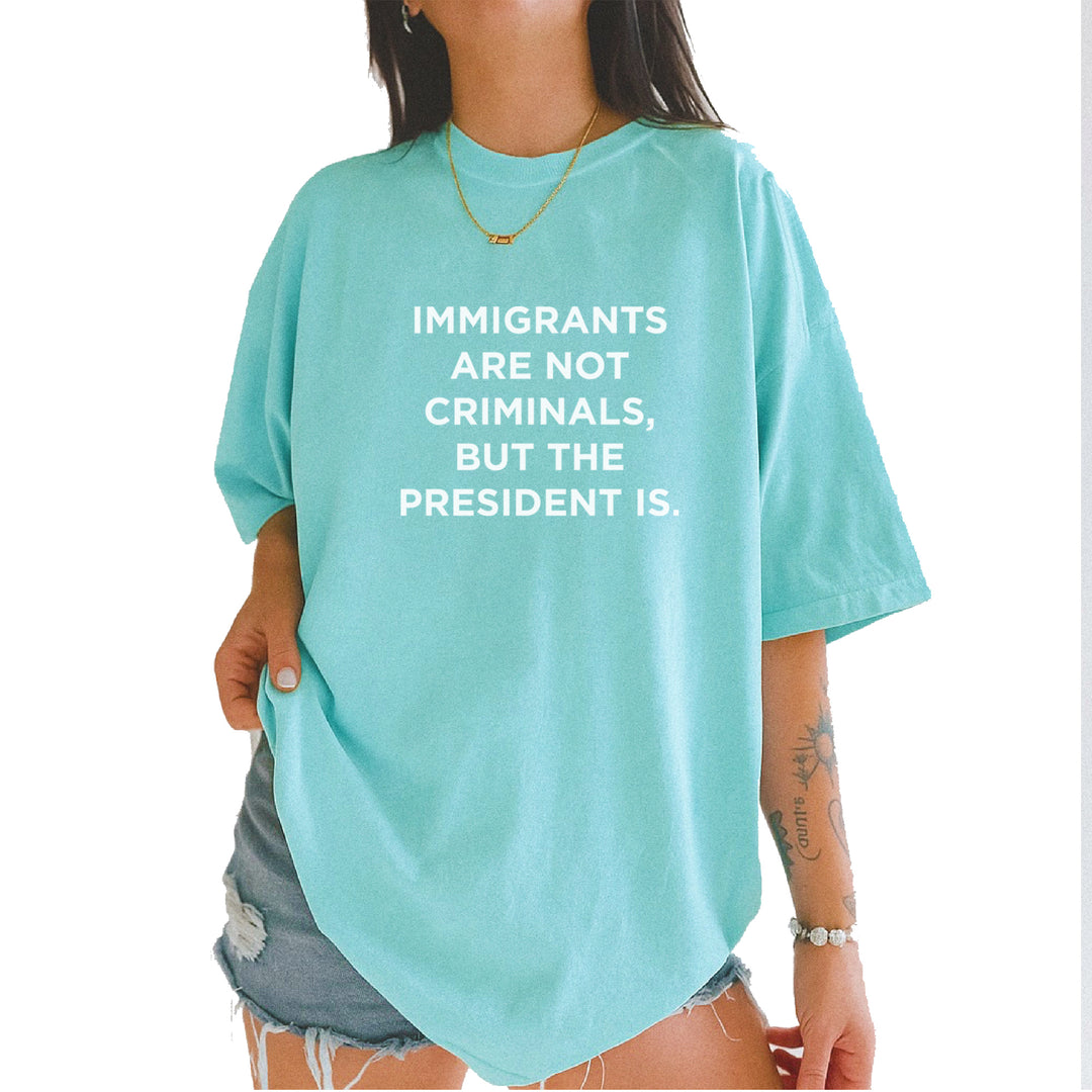 Immigrants Are Not Criminals Vintage Soft Unisex T-shirt Chalky Mint