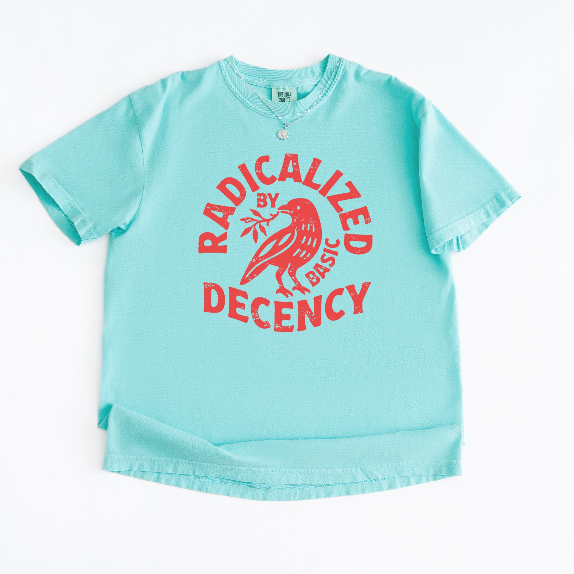 Radicalized by Basic Decency Dove Protest Statement Vintage Soft Unisex T-shirt 